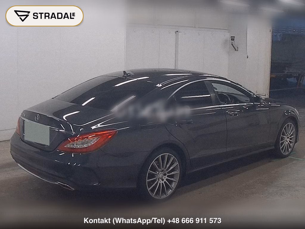 MERCEDES BENZ CLS-CLASS CLS220 BLUETEC AMG LINE, miniaturka 6