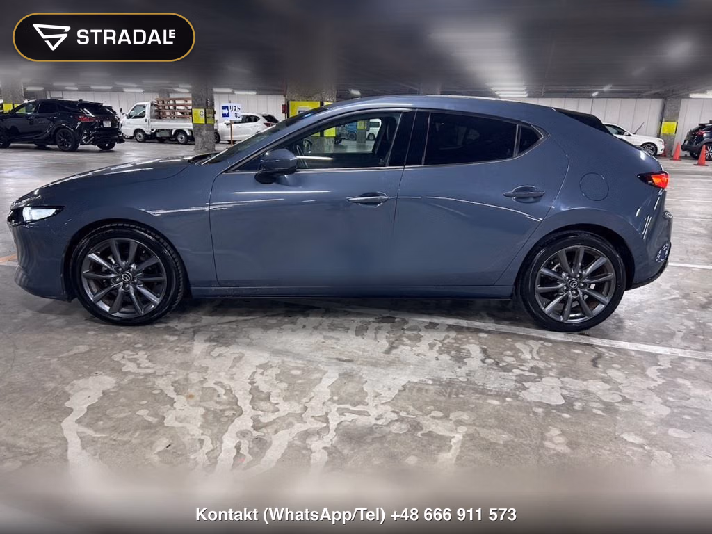 MAZDA MAZDA3 FASTBACK 20S BURGUNDY SELECTION, miniaturka 11
