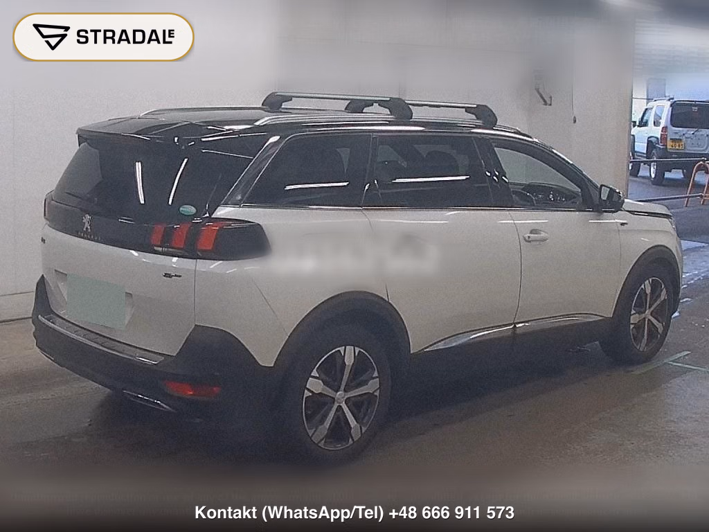 PEUGEOT 5008 OTHERS, miniaturka 6