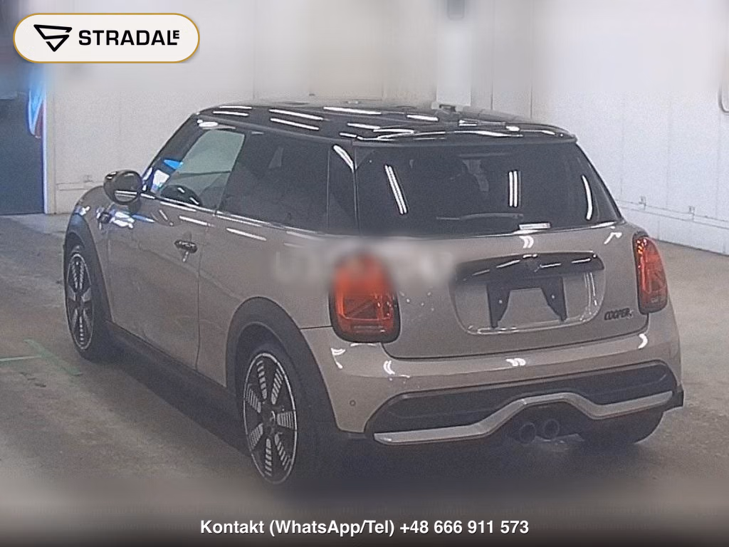 MINI MINI 3D COOPER S, miniaturka 3