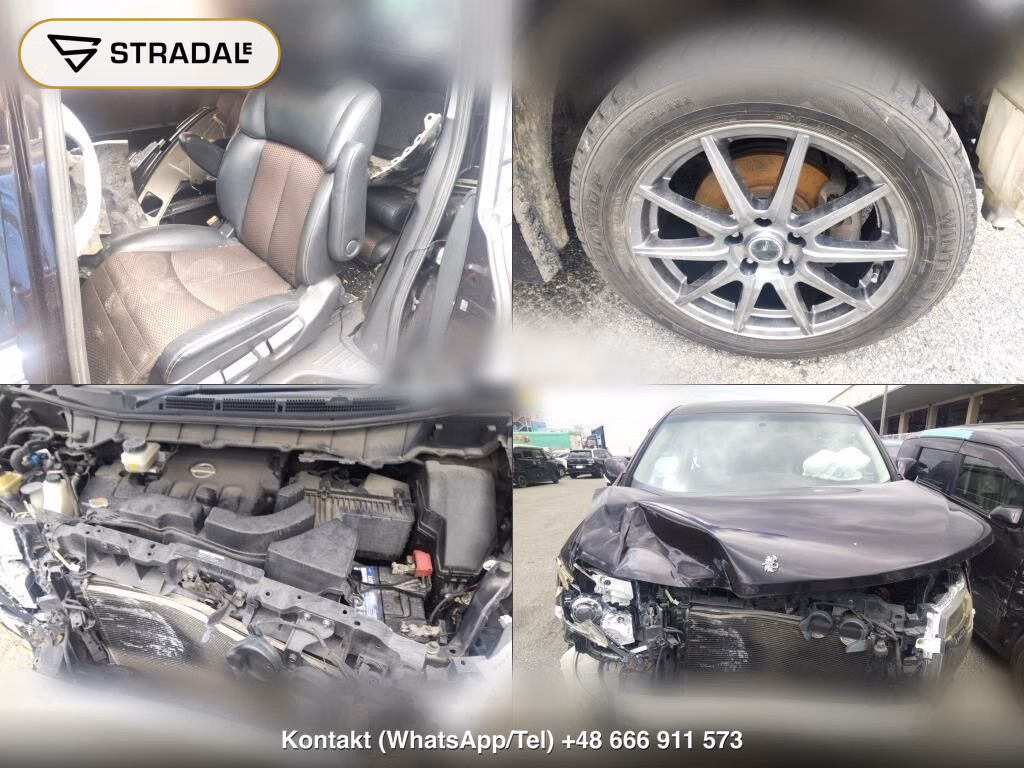 NISSAN ELGRAND 5D 250 HIGHWAY STAR, miniaturka 7