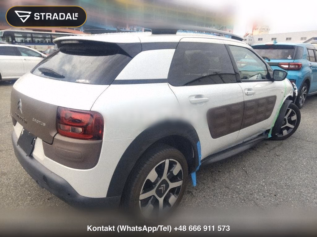 CITROEN C4 CACTUS, miniaturka 6