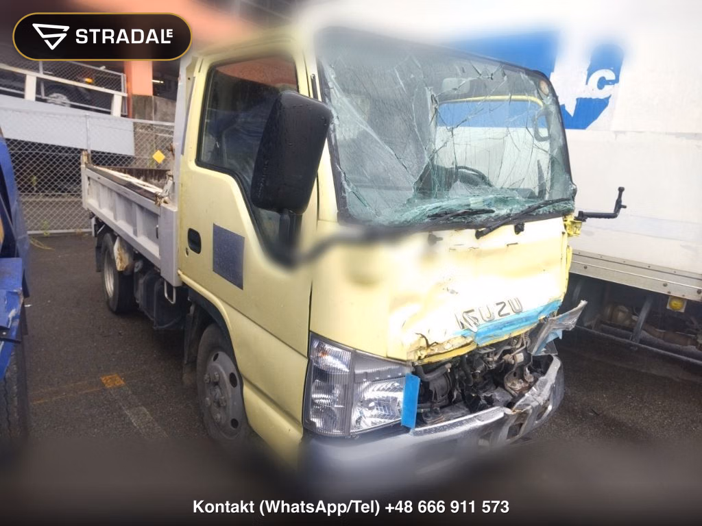 ISUZU ELF TRUCK DUMP 2009, aukcja z Japonii, zdjęcie 1
