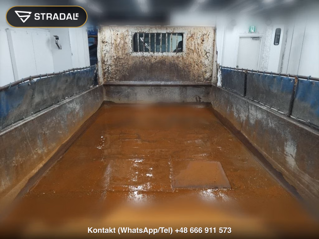 ISUZU ELF TRUCK 2D DUMP, miniaturka 7