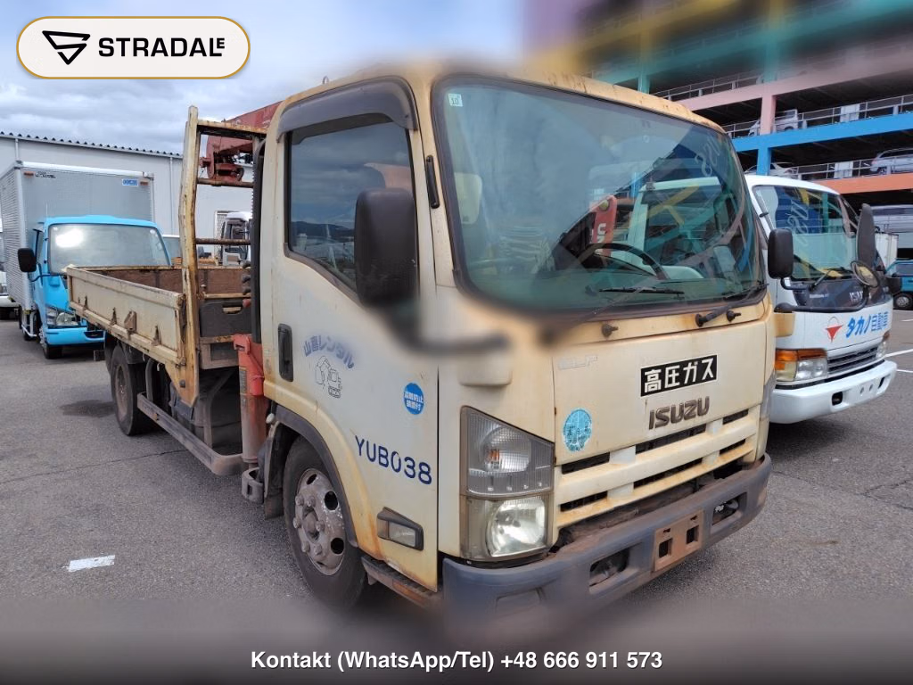 ISUZU ELF TRUCK 2D OTHERS 2009, aukcja z Japonii, zdjęcie 1