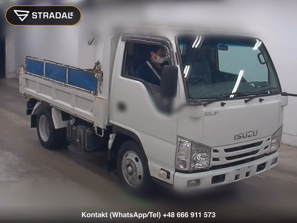 ISUZU ELF TRUCK 2D OTHERS 2019, aukcja z Japonii, zdjęcie 1