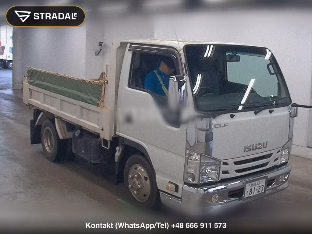 ISUZU ELF TRUCK 2D OTHERS, miniaturka 2