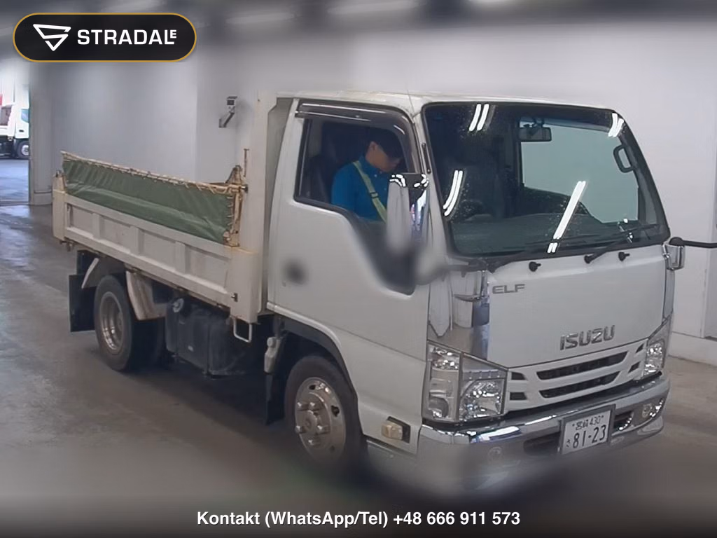 ISUZU ELF TRUCK 2D OTHERS 2016, aukcja z Japonii, zdjęcie 1