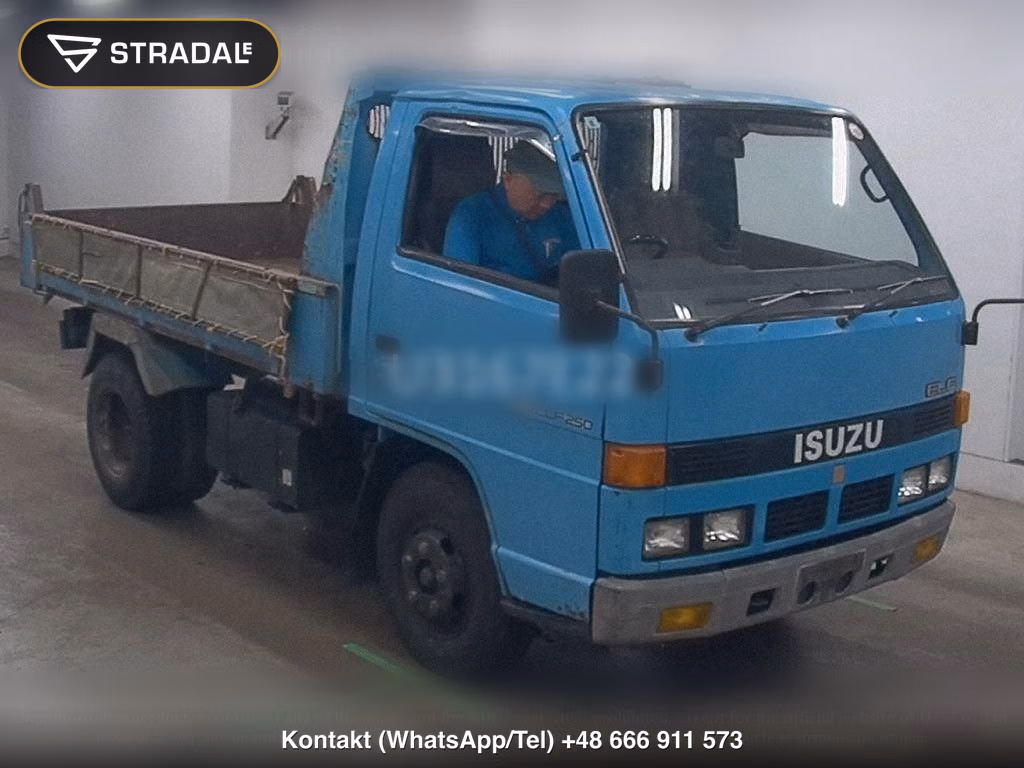 ISUZU ELF TRUCK 2D DUMP, miniaturka 2