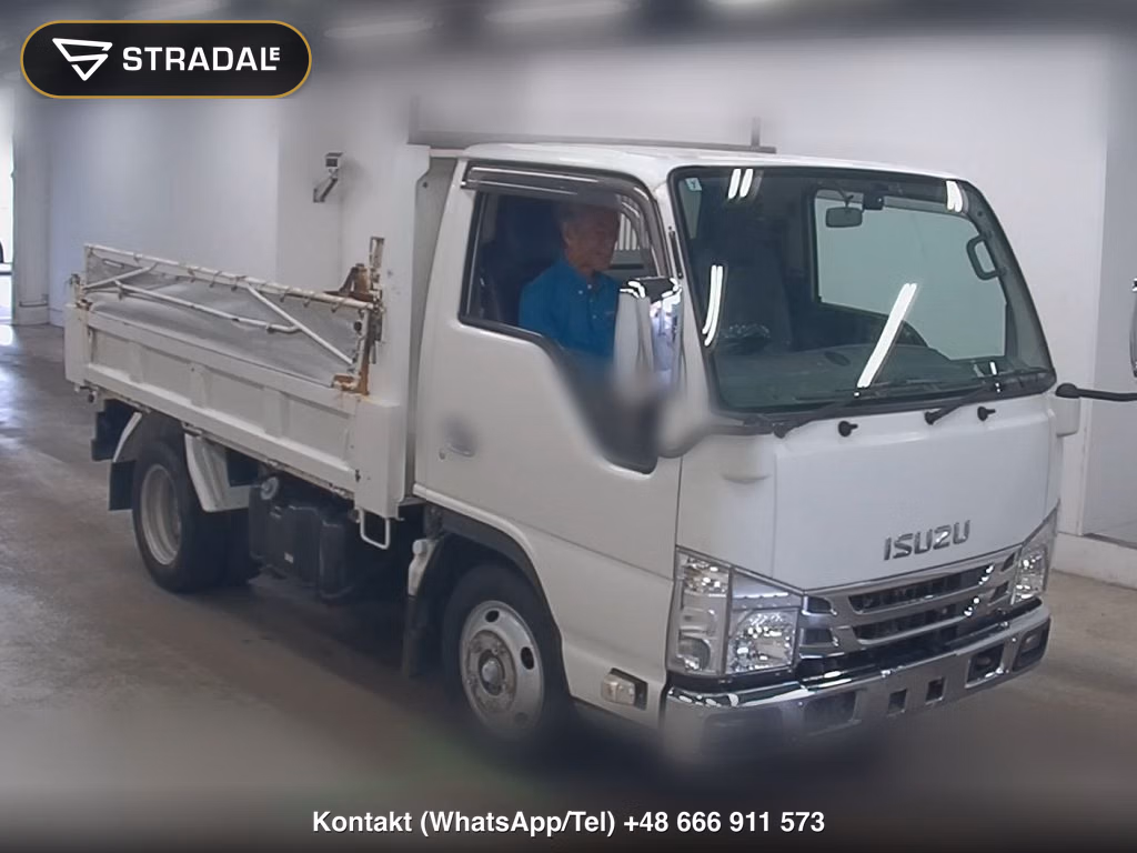 ISUZU ELF TRUCK DUMP 2019, aukcja z Japonii, zdjęcie 1