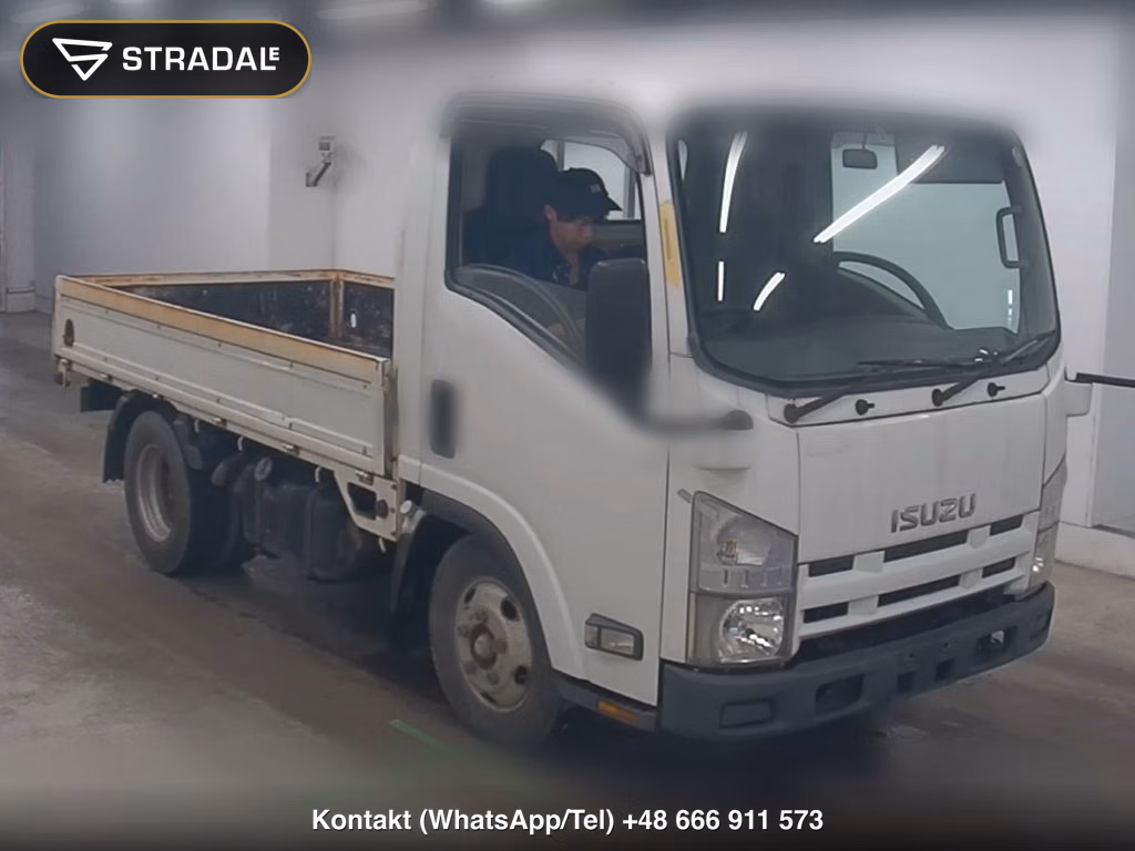 ISUZU ELF TRUCK 2D 2008, aukcja z Japonii, zdjęcie 1