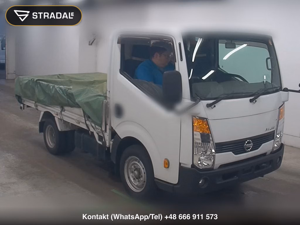 NISSAN ATLAS TRUCK SUPERLOW 2010, aukcja z Japonii, zdjęcie 1