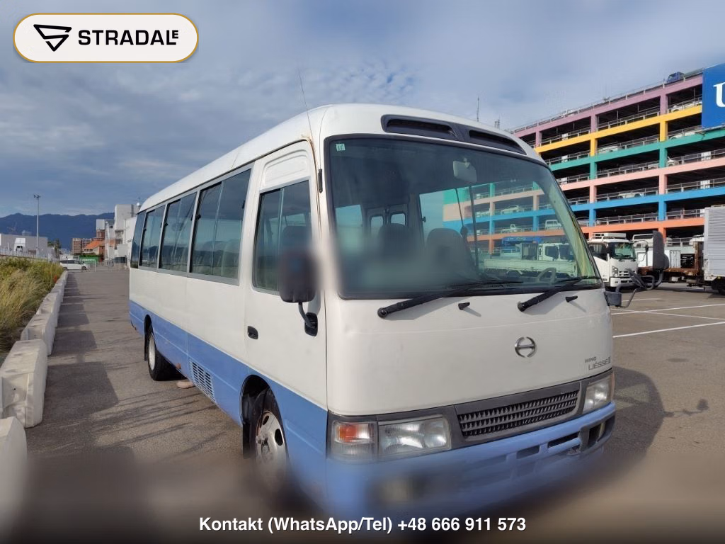 HINO LIESSE Ⅱ 2D LX 2006, aukcja z Japonii, zdjęcie 1