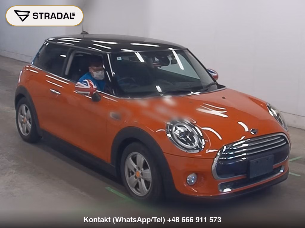 MINI MINI 3D OTHERS 2018, aukcja z Japonii, zdjęcie 1