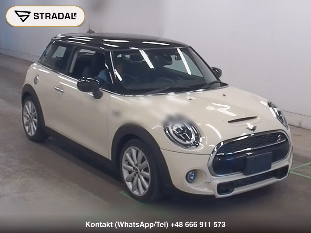 MINI MINI 3D OTHERS 2021, aukcja z Japonii, zdjęcie 1