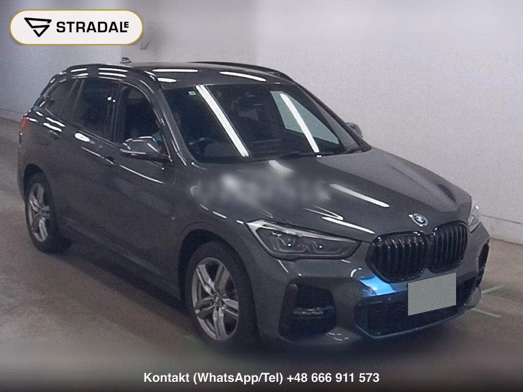 BMW X1 4WD OTHERS, miniaturka 2