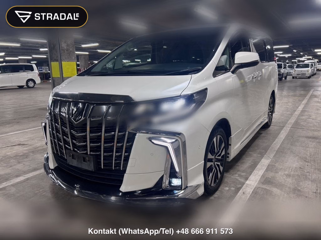 TOYOTA ALPHARD 2.5S C PACKAGE, miniaturka 10