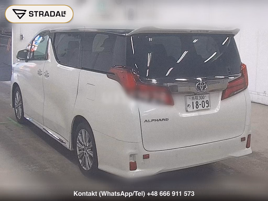 TOYOTA ALPHARD S TYPE GOLDⅢ, miniaturka 3