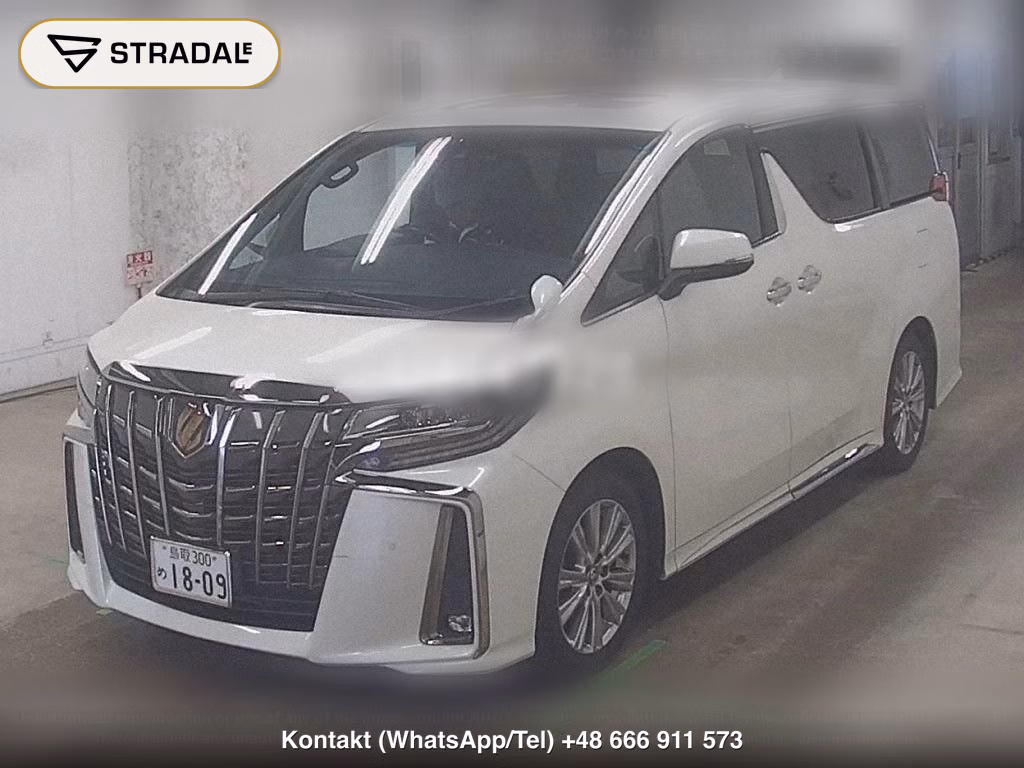 TOYOTA ALPHARD S TYPE GOLDⅢ, miniaturka 5