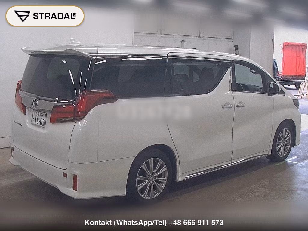 TOYOTA ALPHARD S TYPE GOLDⅢ, miniaturka 6