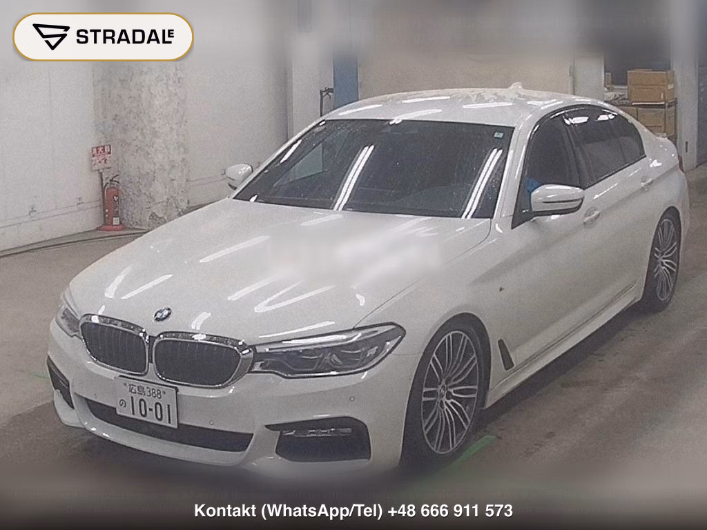 BMW 5 SERIES 4D 530I M-SPORT, miniaturka 5