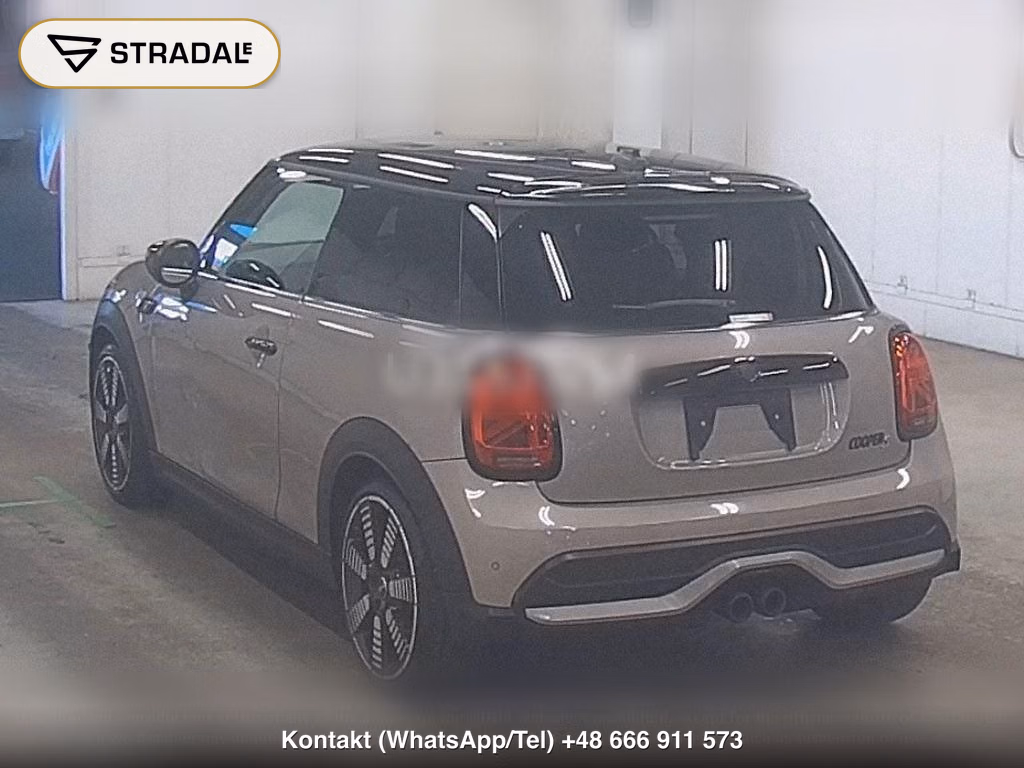 MINI MINI 3D COOPER S, miniaturka 3