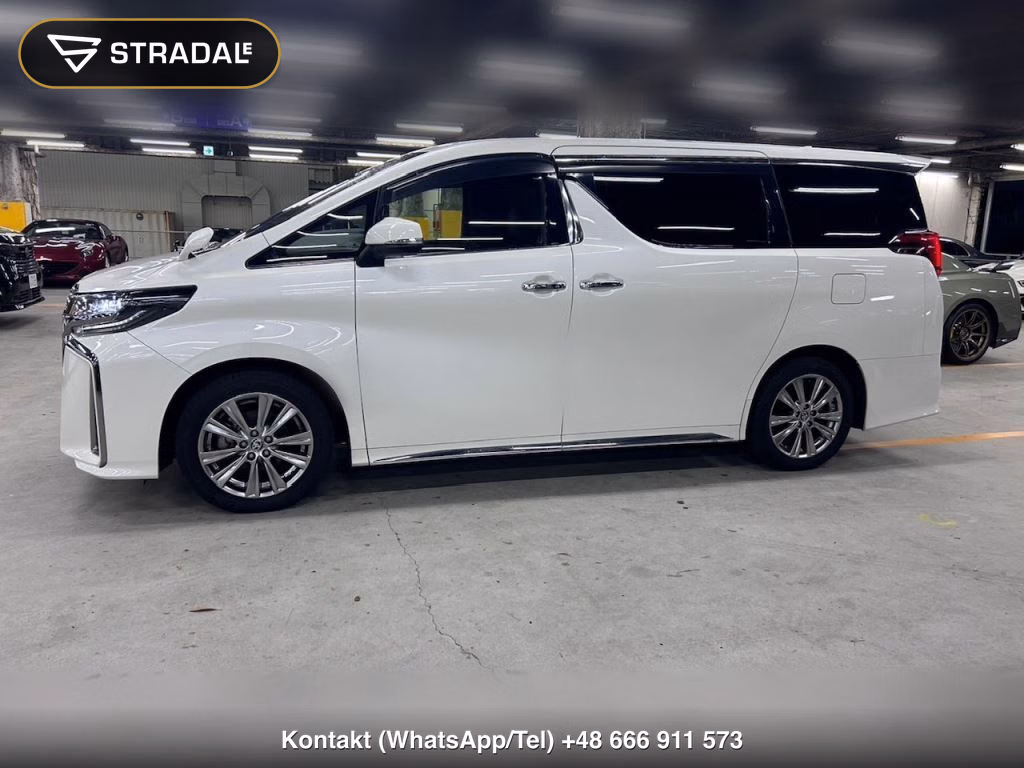 TOYOTA ALPHARD 2.5S TYPE GOLDⅡ, miniaturka 11