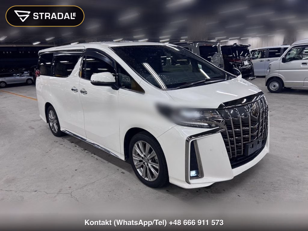 TOYOTA ALPHARD 2.5S TYPE GOLDⅡ, miniaturka 10