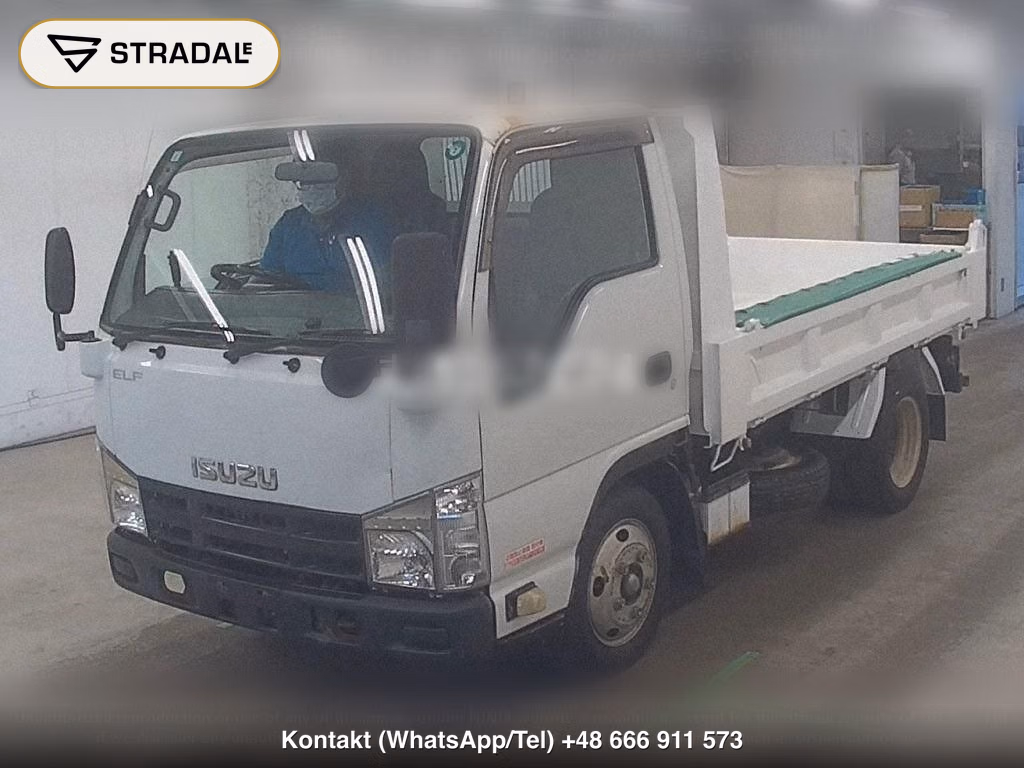 ISUZU ELF TRUCK DUMP, miniaturka 5