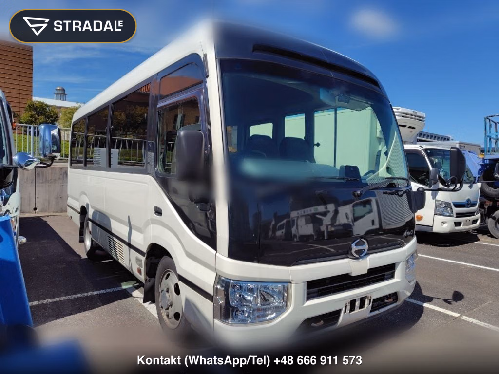 HINO LIESSE Ⅱ 2D 2018, aukcja z Japonii, zdjęcie 1