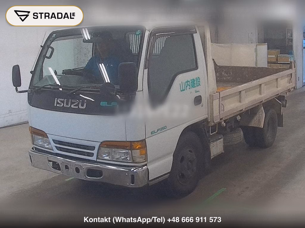 ISUZU ELF TRUCK 2D DUMP, miniaturka 5