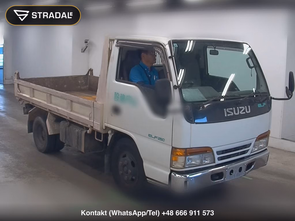 ISUZU ELF TRUCK 2D DUMP 1999, aukcja z Japonii, zdjęcie 1