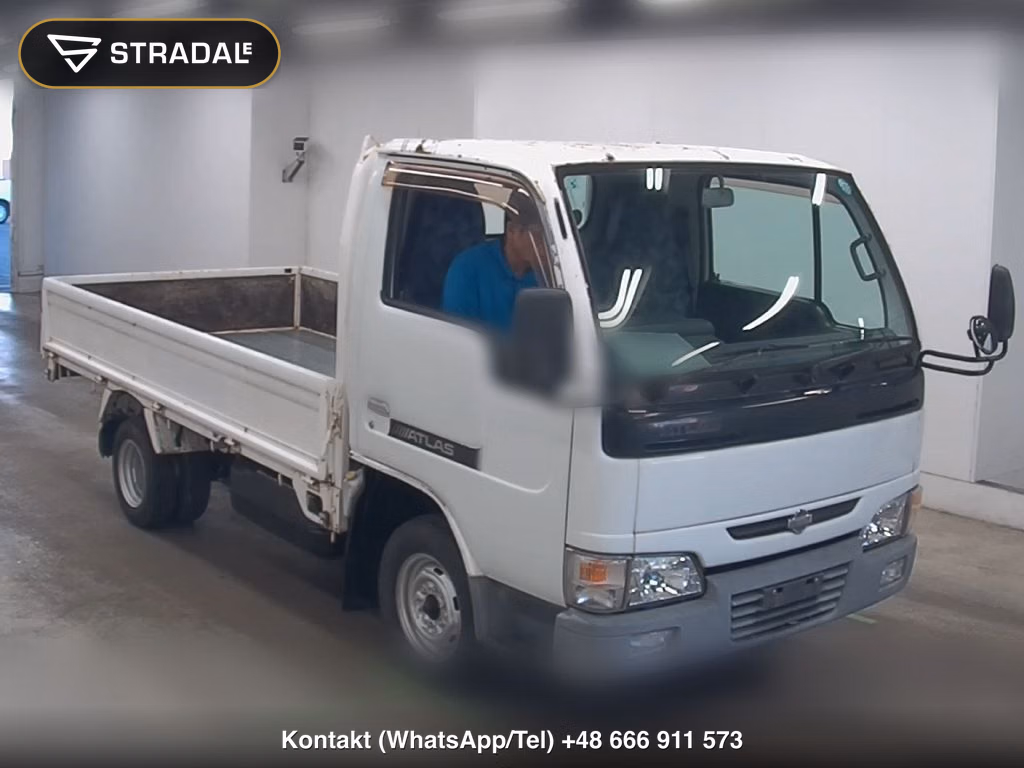NISSAN OTHERS 2001, aukcja z Japonii, zdjęcie 1