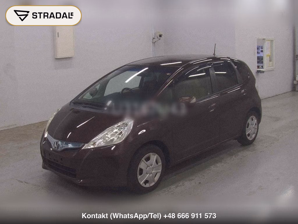 HONDA FIT HYBRID HYBRID･10TH ANNIVERSARY, miniaturka 5