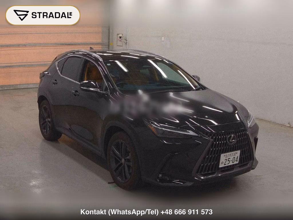 LEXUS NX 4WD NX250 VERSION L, miniaturka 2