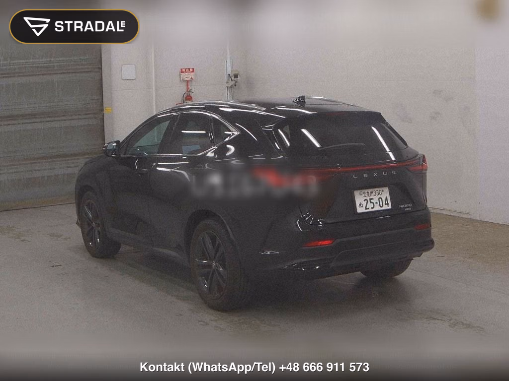 LEXUS NX 4WD NX250 VERSION L, miniaturka 3