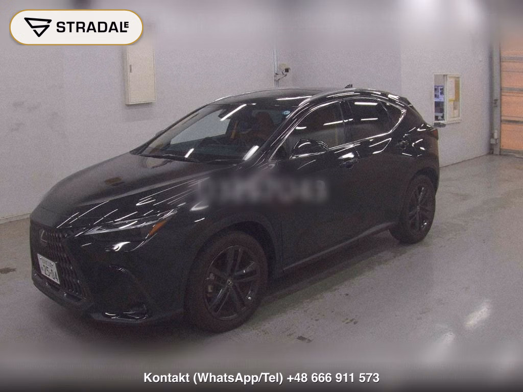 LEXUS NX 4WD NX250 VERSION L, miniaturka 5