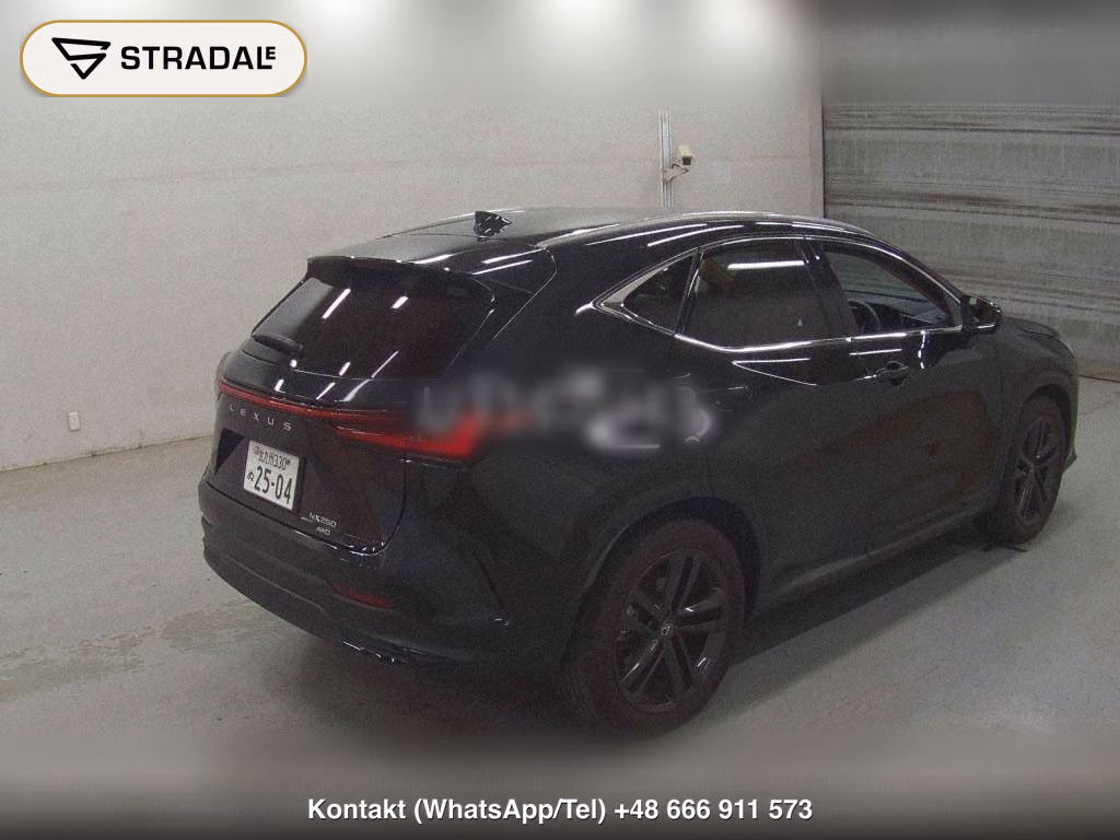 LEXUS NX 4WD NX250 VERSION L, miniaturka 6