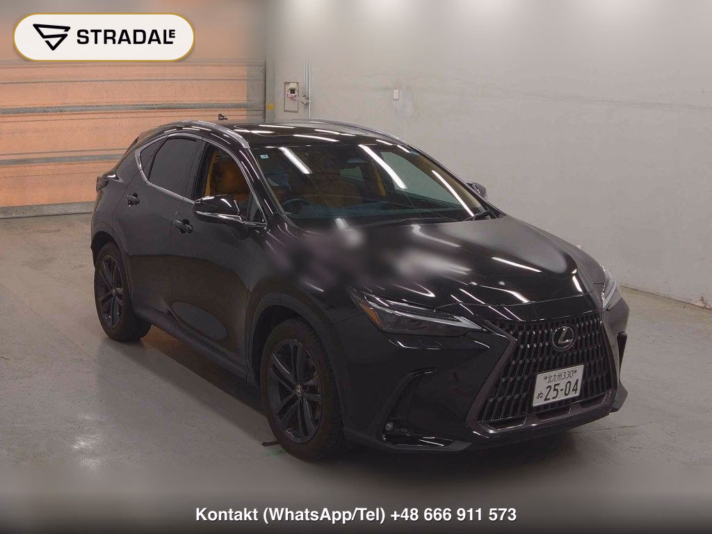 LEXUS NX 4WD NX250 VERSION L 2023, aukcja z Japonii, zdjęcie 1