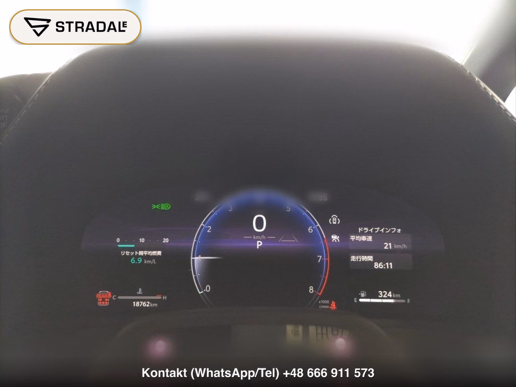 TOYOTA ALPHARD Z, miniaturka 7