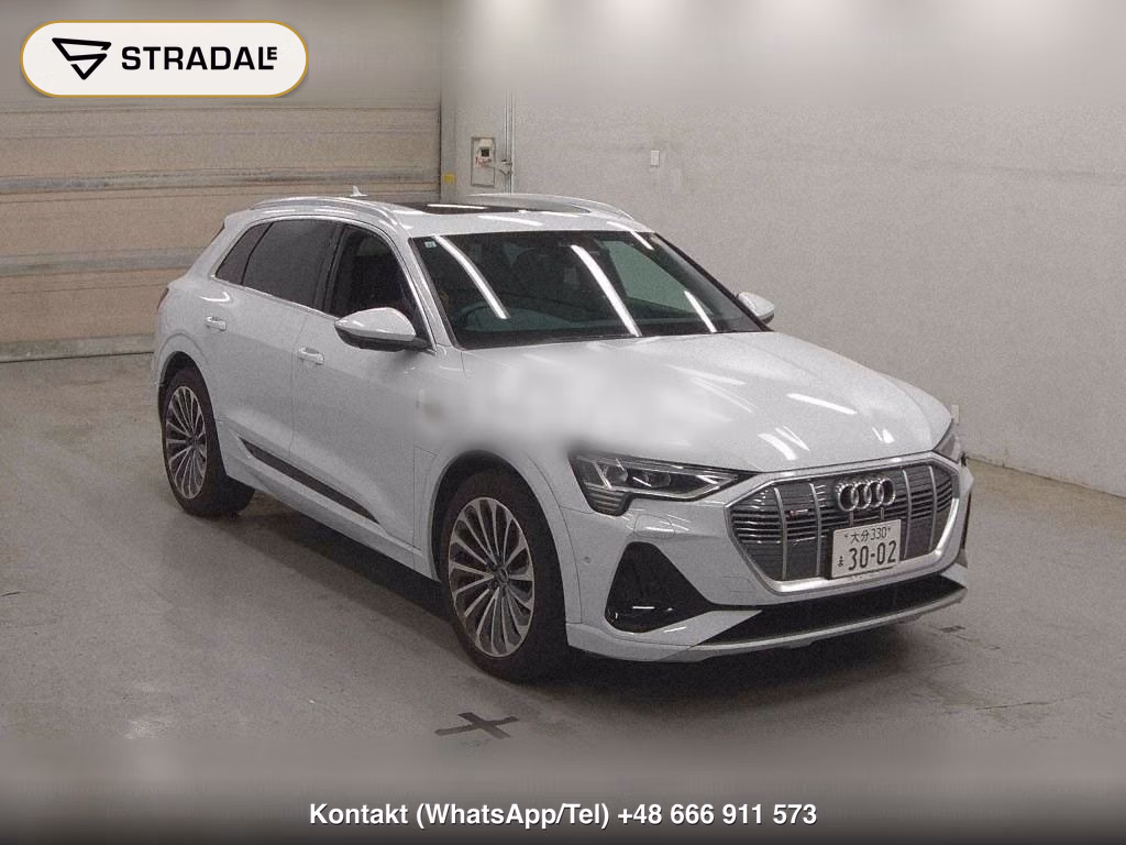 AUDI E-TRON 4WD 55 QUATTRO S LINE, miniaturka 2