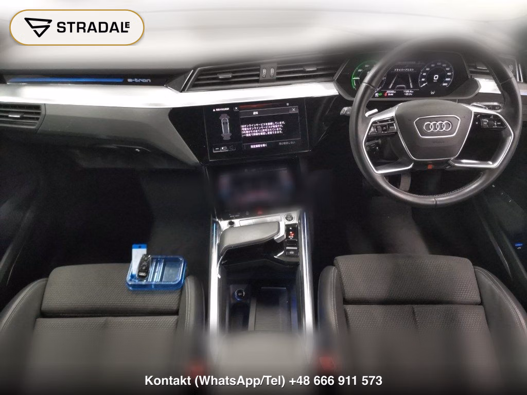 AUDI E-TRON 4WD 55 QUATTRO S LINE, miniaturka 4