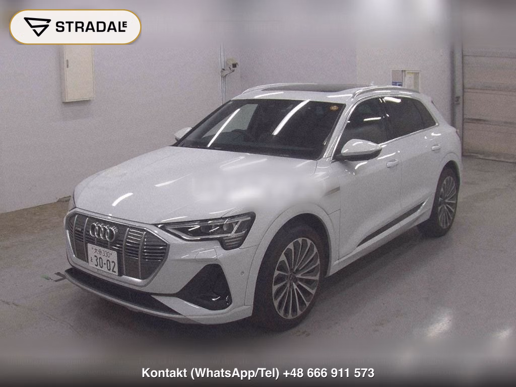 AUDI E-TRON 4WD 55 QUATTRO S LINE, miniaturka 5