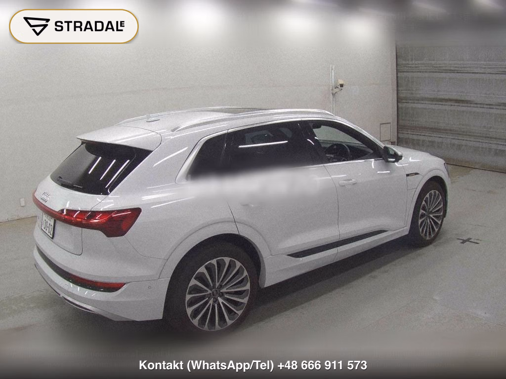 AUDI E-TRON 4WD 55 QUATTRO S LINE, miniaturka 6