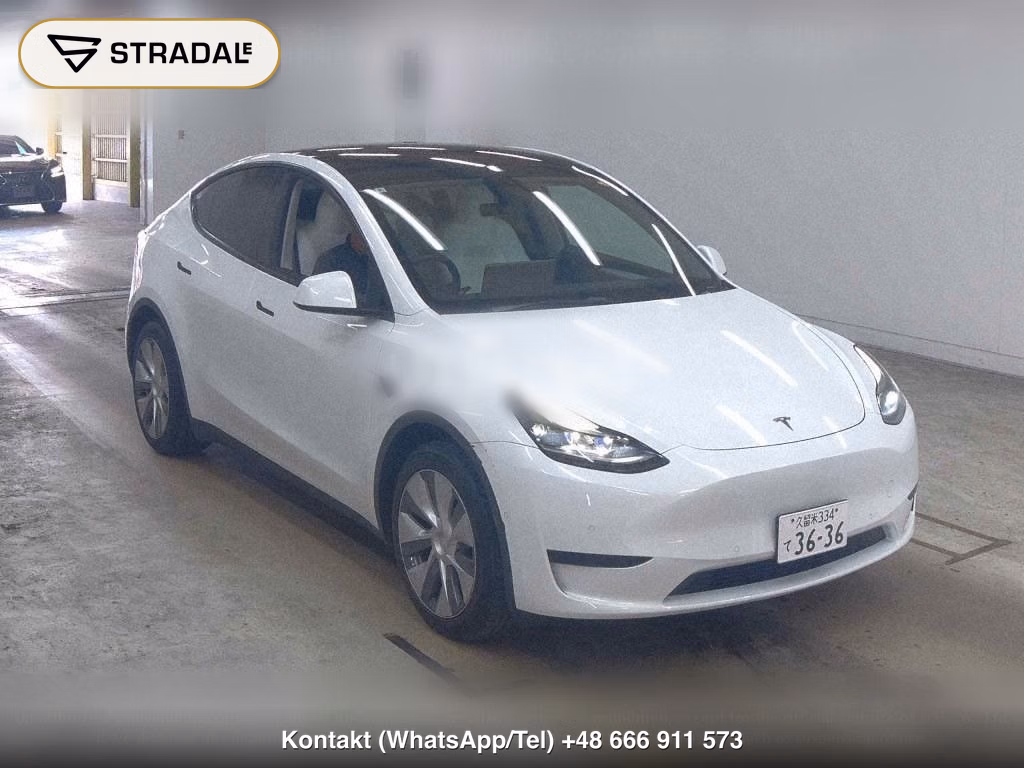 TESLA MODEL Y RWD, miniaturka 2