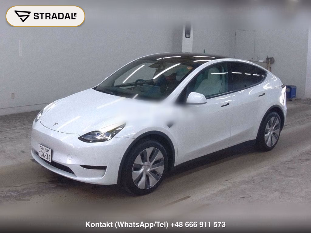 TESLA MODEL Y RWD, miniaturka 5