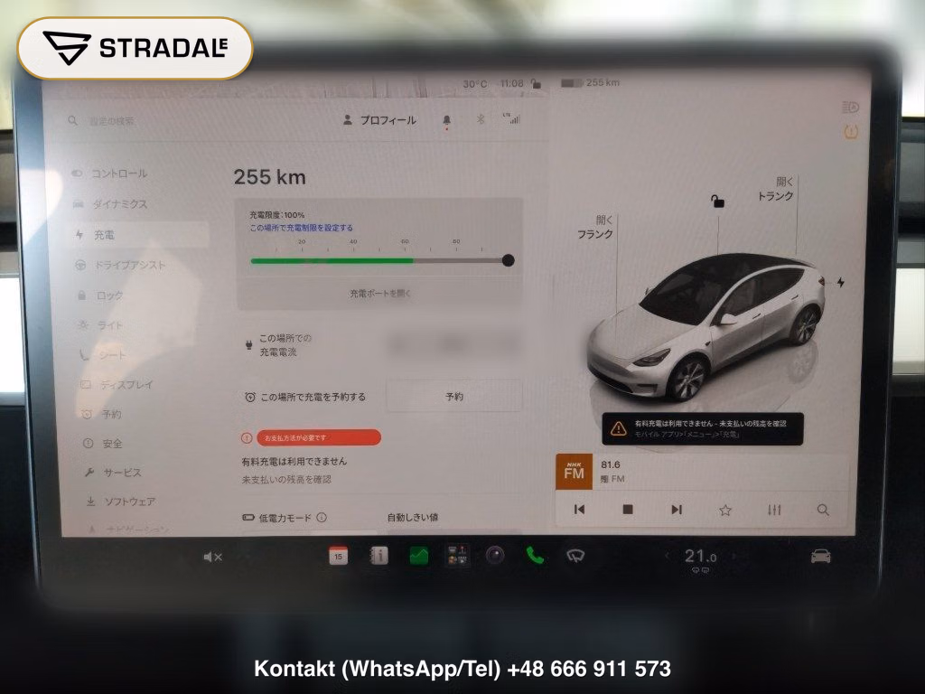 TESLA MODEL Y RWD, miniaturka 7