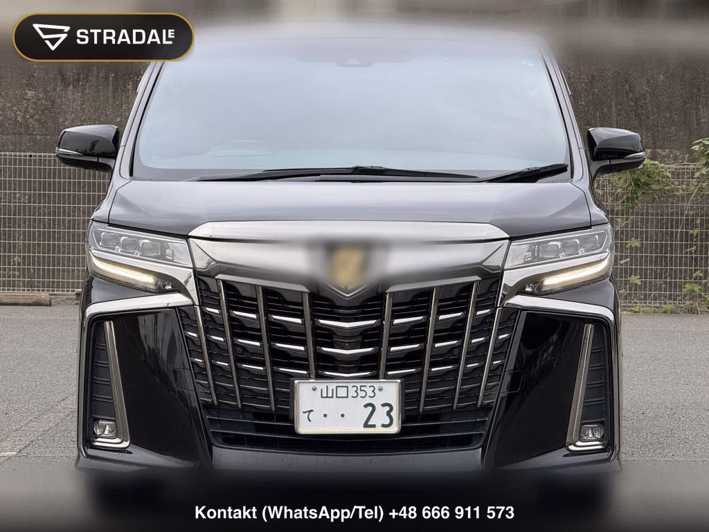 TOYOTA ALPHARD 2.5S TYPE GOLDⅡ, miniaturka 11
