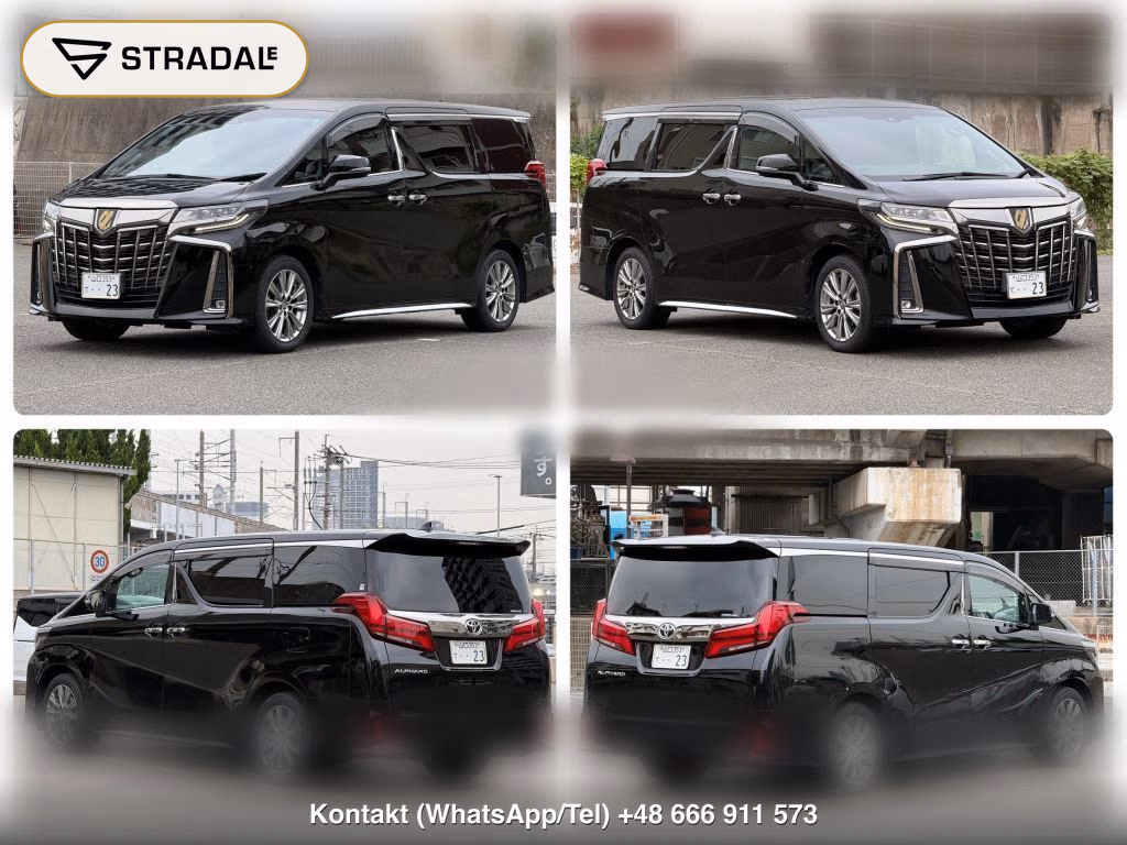TOYOTA ALPHARD 2.5S TYPE GOLDⅡ, miniaturka 10