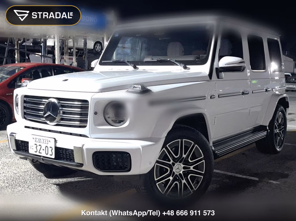 MERCEDES BENZ G-CLASS 5D 4WD OTHERS, miniaturka 10